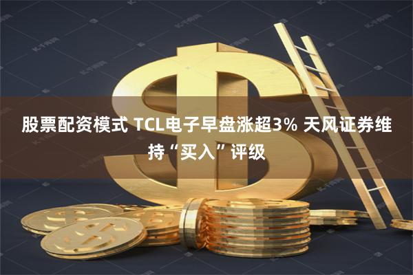 股票配资模式 TCL电子早盘涨超3% 天风证券维持“买入”评级